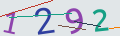 verifycode